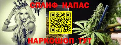 прущие грибы Волжск