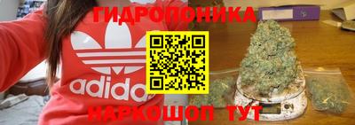 прущие грибы Волжск
