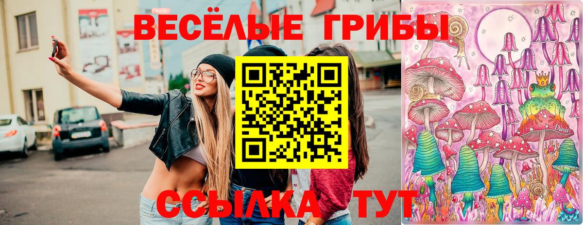 Псилоцибиновые грибы ЛСД  Вход с VPN  Псилоцибиновые грибы Psilocybine cubensis  Липецк 